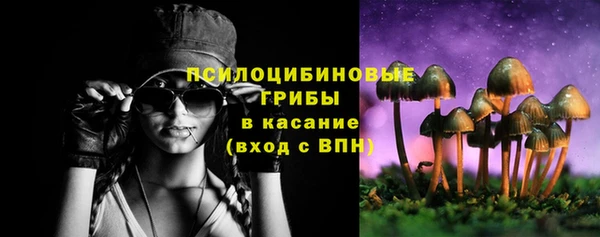 ПСИЛОЦИБИНОВЫЕ ГРИБЫ Алексеевка