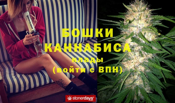 гидра Алексин