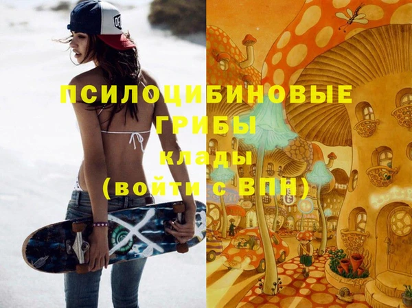 ПСИЛОЦИБИНОВЫЕ ГРИБЫ Алексеевка