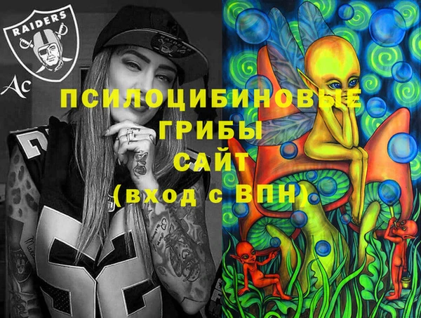 гидра Алексин